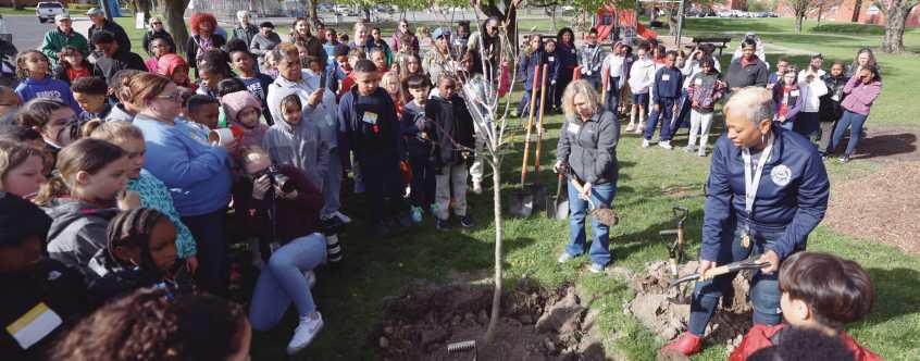 Toledo and community partners celebrate Arbor Day